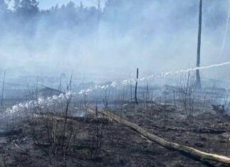 На Чернігівщині під час гасіння сухостою виявили тіло жінки