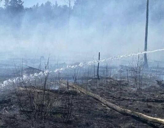 На Чернігівщині під час гасіння сухостою виявили тіло жінки