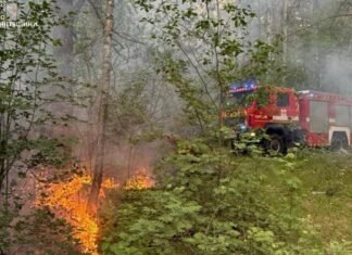 Росіяни атакували транспортну інфраструктуру на Чернігівщині