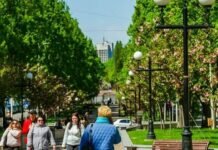 Травень буде прохолоднішим, ніж зазвичай: синоптики дали прогноз для Чернігівщини