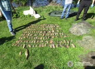 На Чернігівщині чоловік ловив рибу сітками під час нересту: збитки – майже 300 тис грн