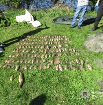 На Чернігівщині чоловік ловив рибу сітками під час нересту: збитки – майже 300 тис грн