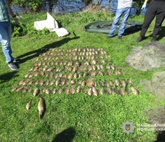 На Чернігівщині чоловік ловив рибу сітками під час нересту: збитки – майже 300 тис грн