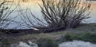 На Чернігівщині браконьєр наловив риби на понад 54 тисячі гривень