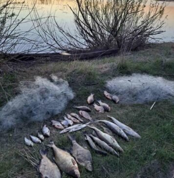 На Чернігівщині браконьєр наловив риби на понад 54 тисячі гривень