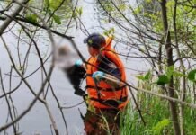 На Чернігівщині у затоці Дніпра виявили тіло чоловіка