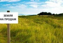 Чернігівщина — серед лідерів земельного ринку: за чотири місяці уклали понад 3 тисячі угод