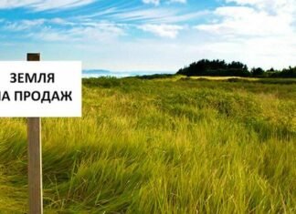 Чернігівщина — серед лідерів земельного ринку: за чотири місяці уклали понад 3 тисячі угод