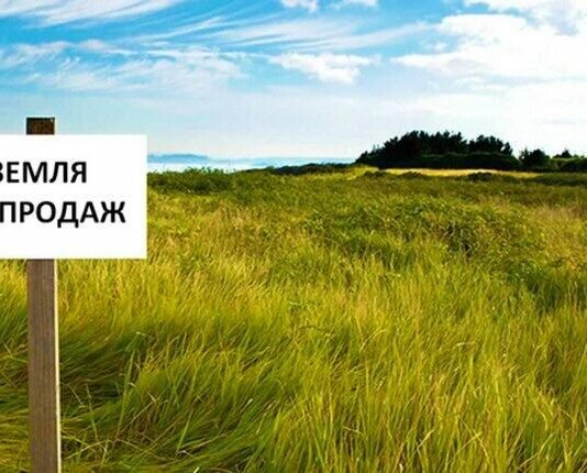 Чернігівщина — серед лідерів земельного ринку: за чотири місяці уклали понад 3 тисячі угод