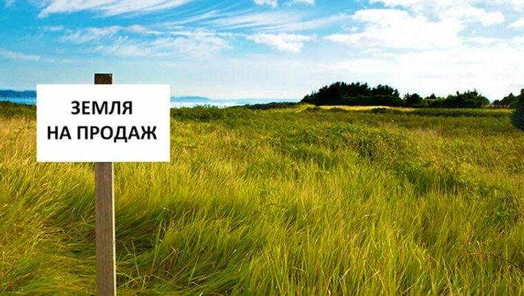 Чернігівщина — серед лідерів земельного ринку: за чотири місяці уклали понад 3 тисячі угод