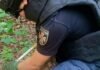 На Чернігівщині за добу сапери виявили майже 20 вибухонебезпечних предметів