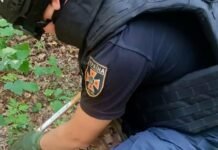 На Чернігівщині за добу сапери виявили майже 20 вибухонебезпечних предметів