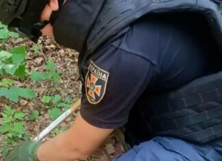 На Чернігівщині за добу сапери виявили майже 20 вибухонебезпечних предметів