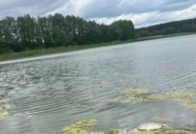 На Чернігівщині зафіксовано мор риби (Фото)