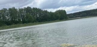 На Чернігівщині зафіксовано мор риби (Фото)