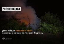 На Чернігівщині під час пожежі в будинку постраждали чоловік і жінка