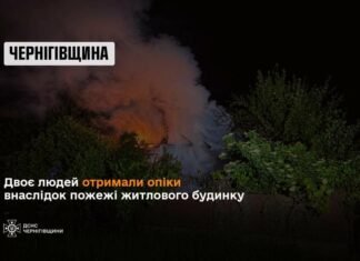 На Чернігівщині під час пожежі в будинку постраждали чоловік і жінка