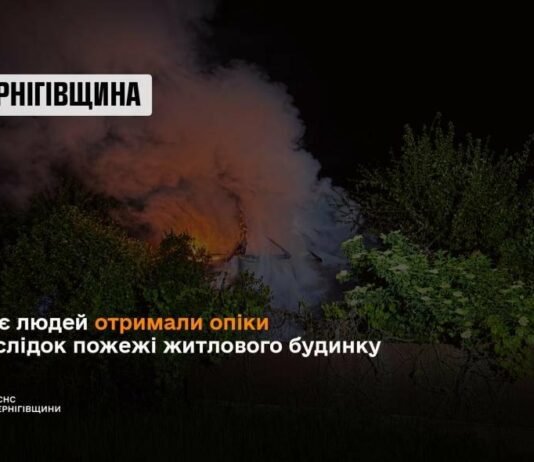 На Чернігівщині під час пожежі в будинку постраждали чоловік і жінка