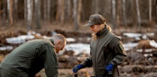 Понад 5,6 млн сіянців висадили лісівники Чернігівщини цієї весни