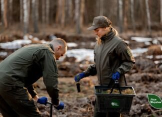 Понад 5,6 млн сіянців висадили лісівники Чернігівщини цієї весни