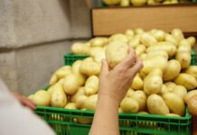 Цены на картофель лихорадит из-за Ближнего Востока — контракты выросли на 700%