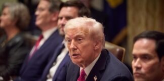 «Я бы хотел»: Трамп заявил, что перемирие между Украиной и РФ может длиться дольше трех дней (видео)