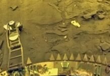 На Венере смогли выжить 7 гостей с Земли, считают ученые (фото)
