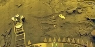 На Венере смогли выжить 7 гостей с Земли, считают ученые (фото)