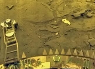 На Венере смогли выжить 7 гостей с Земли, считают ученые (фото)