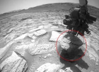 Марсоход Curiosity застрял в камне на Марсе: у NASA такой проблемы еще не было (видео)