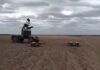 Сбили «Шахед» во время массовой атаки: ВСУ впервые показали боевую работу ЗРК STASH (видео)