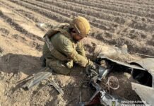 У Чернігівському районі знайшли залишки російського ударного БпЛА