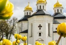 Теплий старт травня: коли на Чернігівщині буде найспекотніше