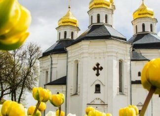 Теплий старт травня: коли на Чернігівщині буде найспекотніше