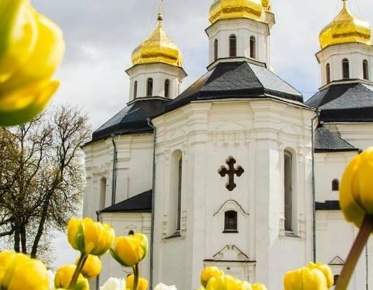 Теплий старт травня: коли на Чернігівщині буде найспекотніше