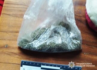 Поліція Чернігівщини затримала 20-річного хлопця за збут Альфа-PVP та канабісу