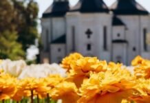 У Чернігові другий день поспіль фіксують температурний рекорд