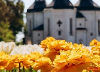 У Чернігові другий день поспіль фіксують температурний рекорд
