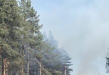 1700 абонентів без світла: наслідки лісових пожеж на Чернігівщині