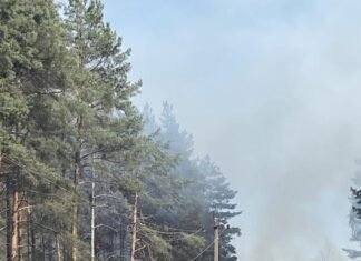 1700 абонентів без світла: наслідки лісових пожеж на Чернігівщині
