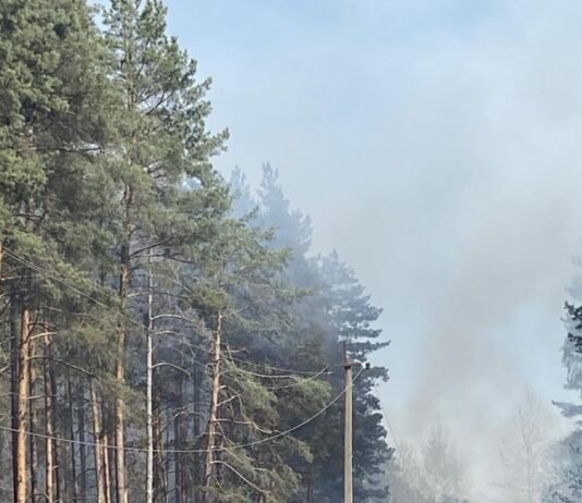 1700 абонентів без світла: наслідки лісових пожеж на Чернігівщині