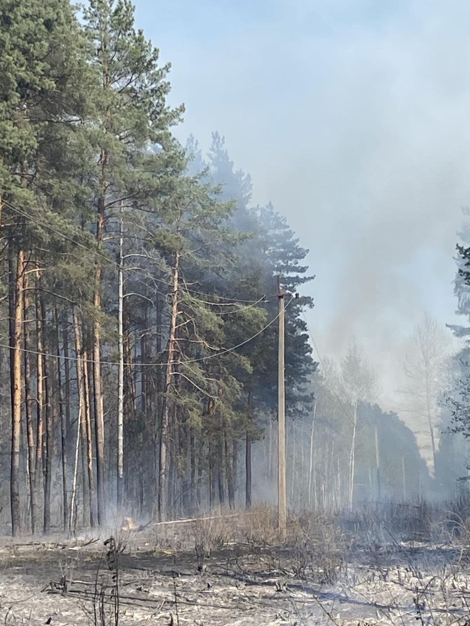 1700 абонентів без світла: наслідки лісових пожеж на Чернігівщині