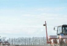 Кукурудза, соняшник і соя лідирують: як триває посівна на Чернігівщині