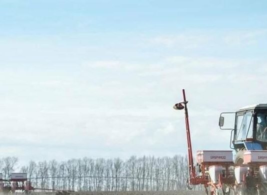 Кукурудза, соняшник і соя лідирують: як триває посівна на Чернігівщині