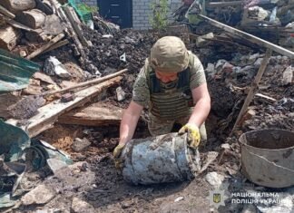 На Чернігівщині на приватному подвір‘ї виявили термобаричну бойову частину російського «шахеда»