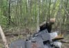 У лісосмузі на Чернігівщині знайшли ударний БпЛА рф споряджений термобаричною бойовою частиною
