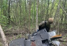 У лісосмузі на Чернігівщині знайшли ударний БпЛА рф споряджений термобаричною бойовою частиною