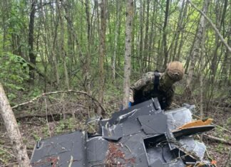 У лісосмузі на Чернігівщині знайшли ударний БпЛА рф споряджений термобаричною бойовою частиною