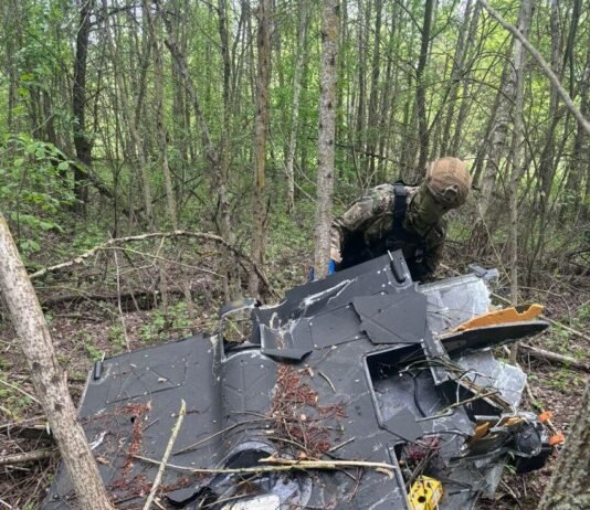 У лісосмузі на Чернігівщині знайшли ударний БпЛА рф споряджений термобаричною бойовою частиною