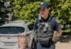 У Чернігові 6-річна дівчинка загубилася дорогою до дитячого садка